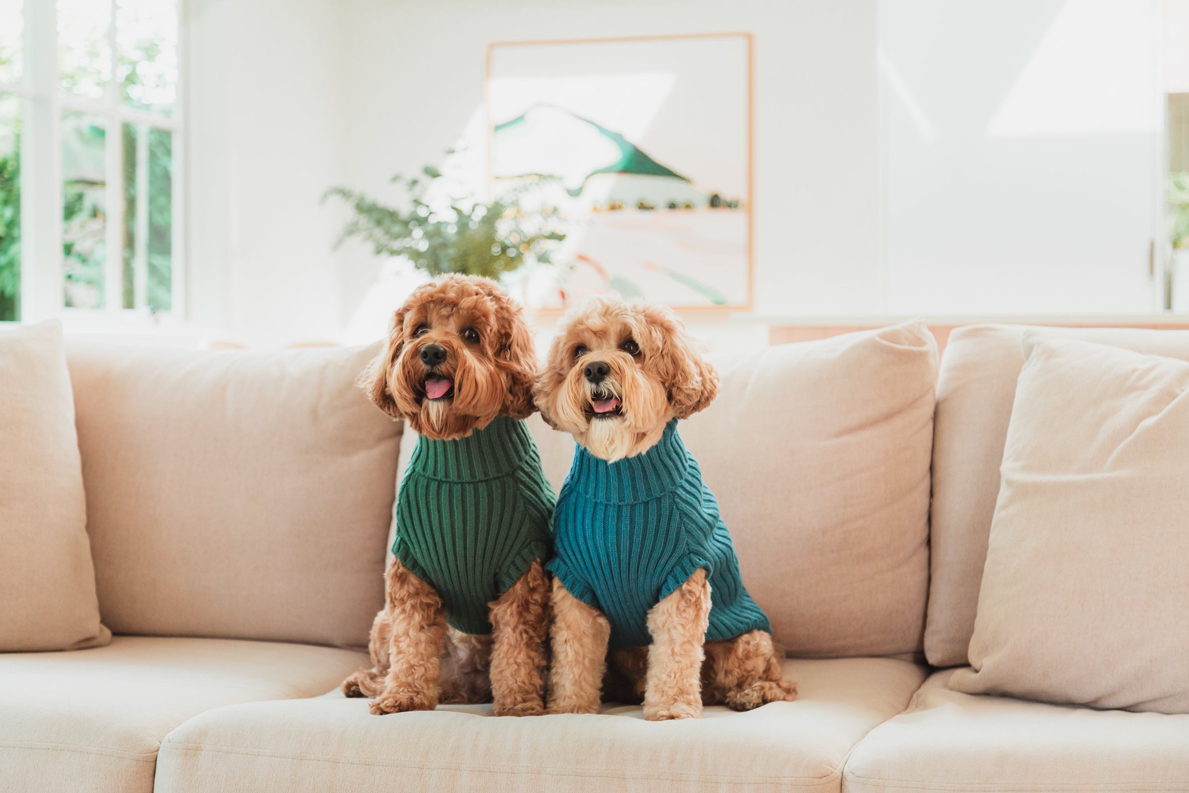 Ropa para los más minis
