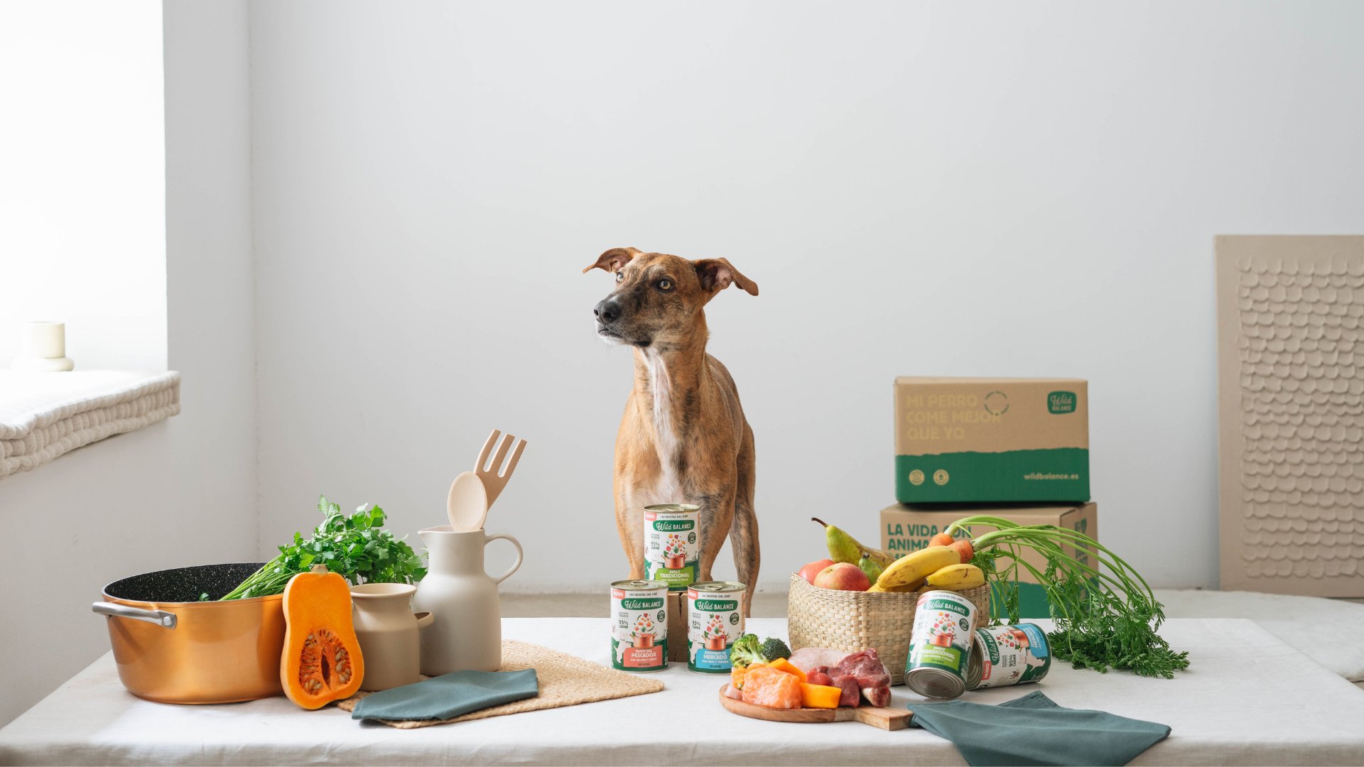 Comida húmeda para perros