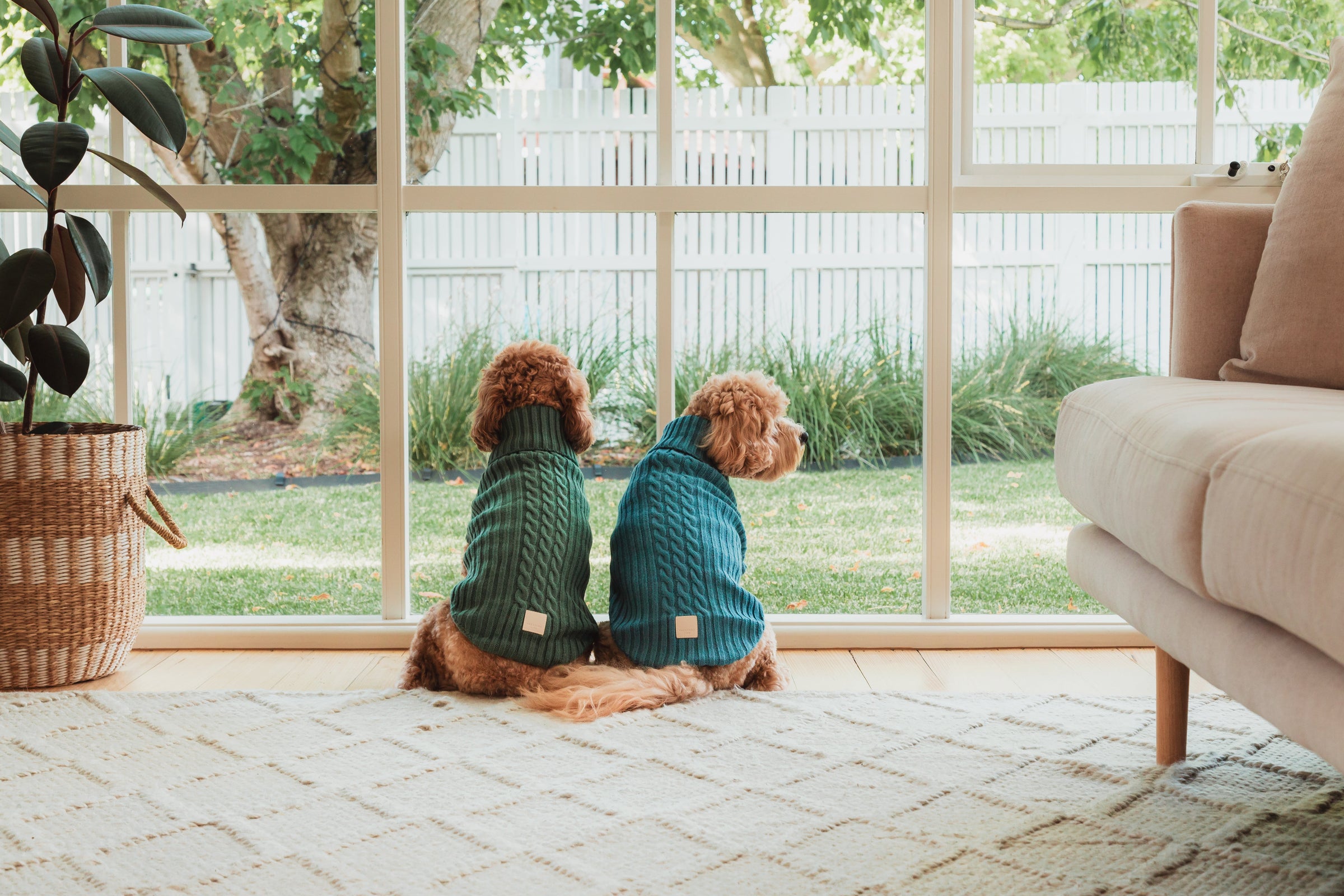 Ropa para perros