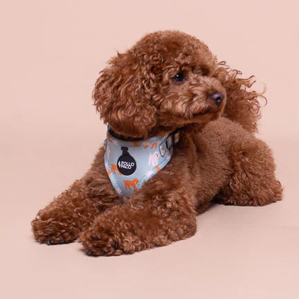5881012