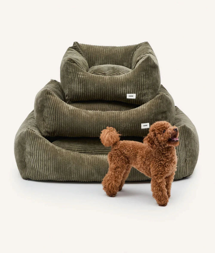 Cama Snozy de Pana Verde Cafide
