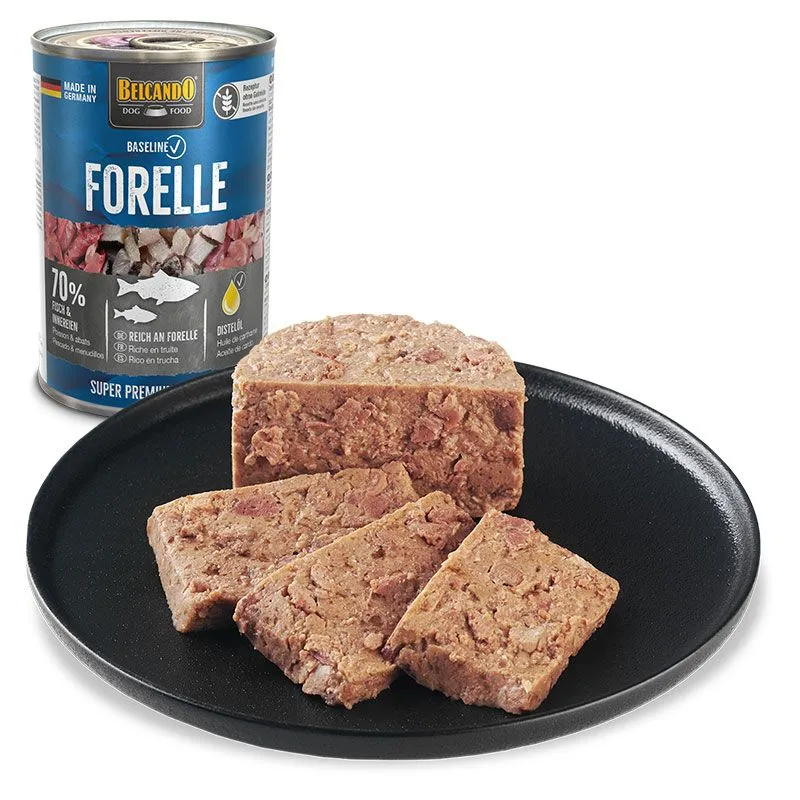 Comida húmeda Belcando Forelle con trucha fresca servida en plato para perros