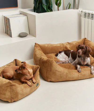Cama Snozy de Pana Cafide