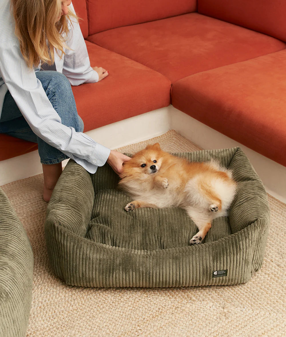 Cama Snozy de Pana Cafide