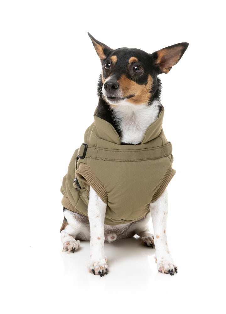 FuzzYard Jacket - Flash