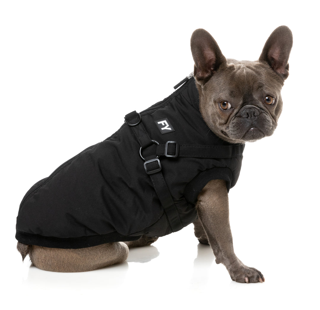 FuzzYard Jacket - Flash