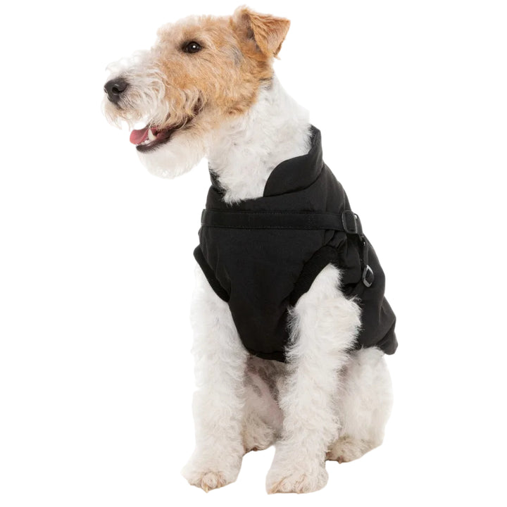 FuzzYard Jacket - Flash