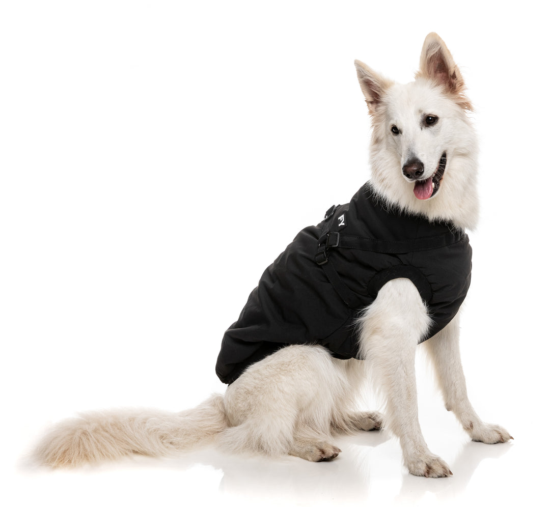 FuzzYard Jacket - Flash