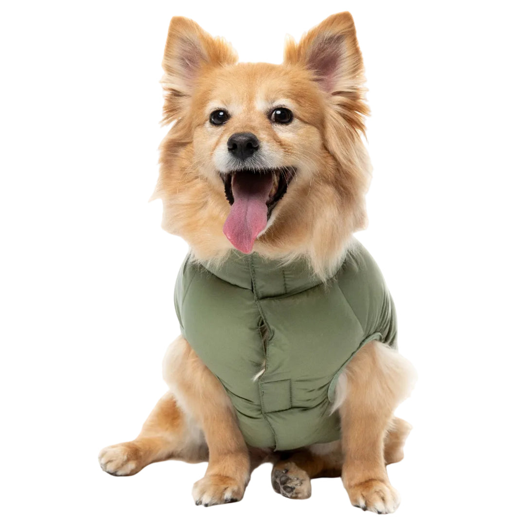 FuzzYard Chaqueta - East Harlem Puffer verde