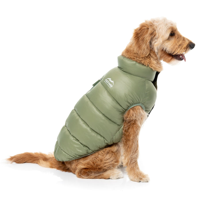 FuzzYard Chaqueta - East Harlem Puffer verde