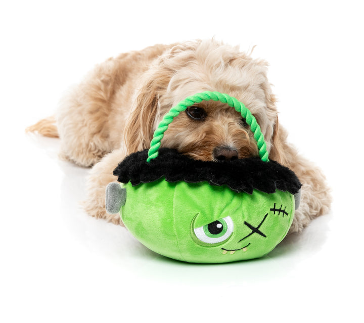 Fuzzyard Franken Basket