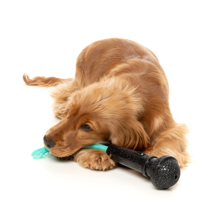 Perro jugando con el juguete dental interactivo Fresh Kicks N Licks de FuzzYard