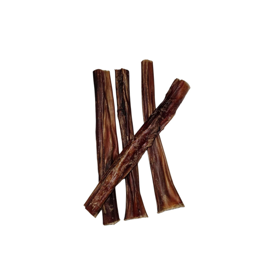Nervio de toro deshidratado Hobbit Alf de varios tamanyos, snack natural y duradero para perros, ideal para la limpieza dental y el cuidado de la mandíbula.