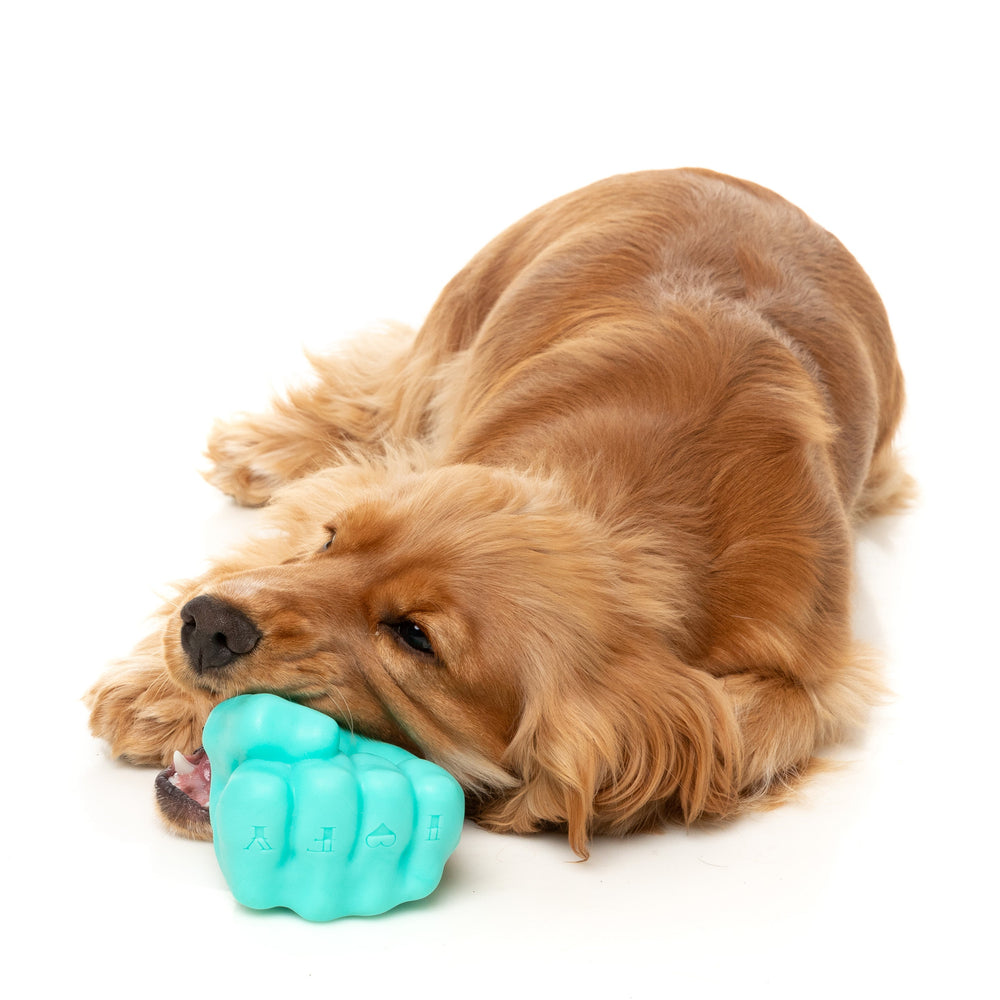 Perro jugando con el juguete interactivo Knuckle Sandwich de FuzzYard con dispensador de premios
