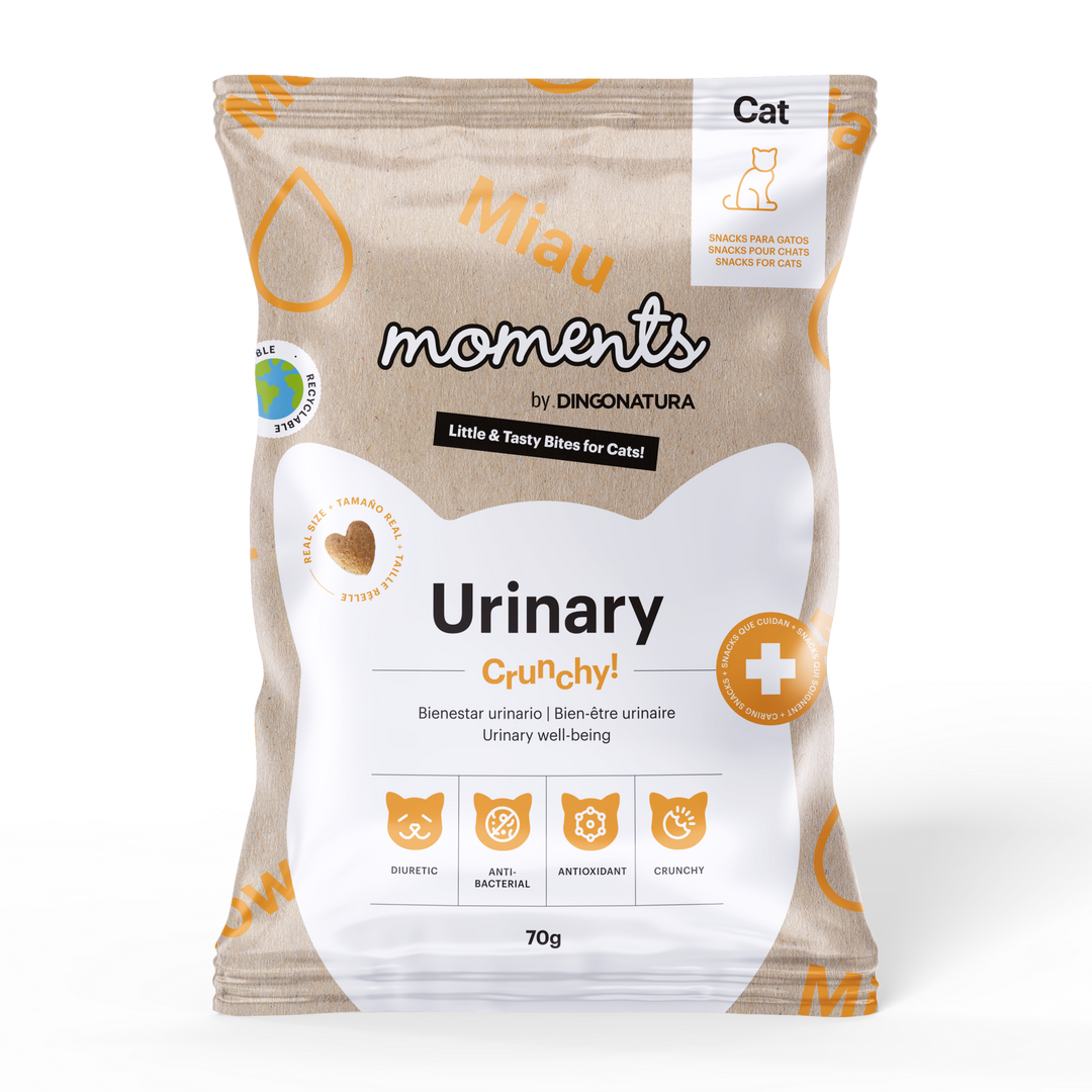 Bolsa de snacks Natura Diet Moments Cat Urinary para gatos, 70g, alimento complementario natural con arándano rojo y espirulina que favorece la salud urinaria y el bienestar general.