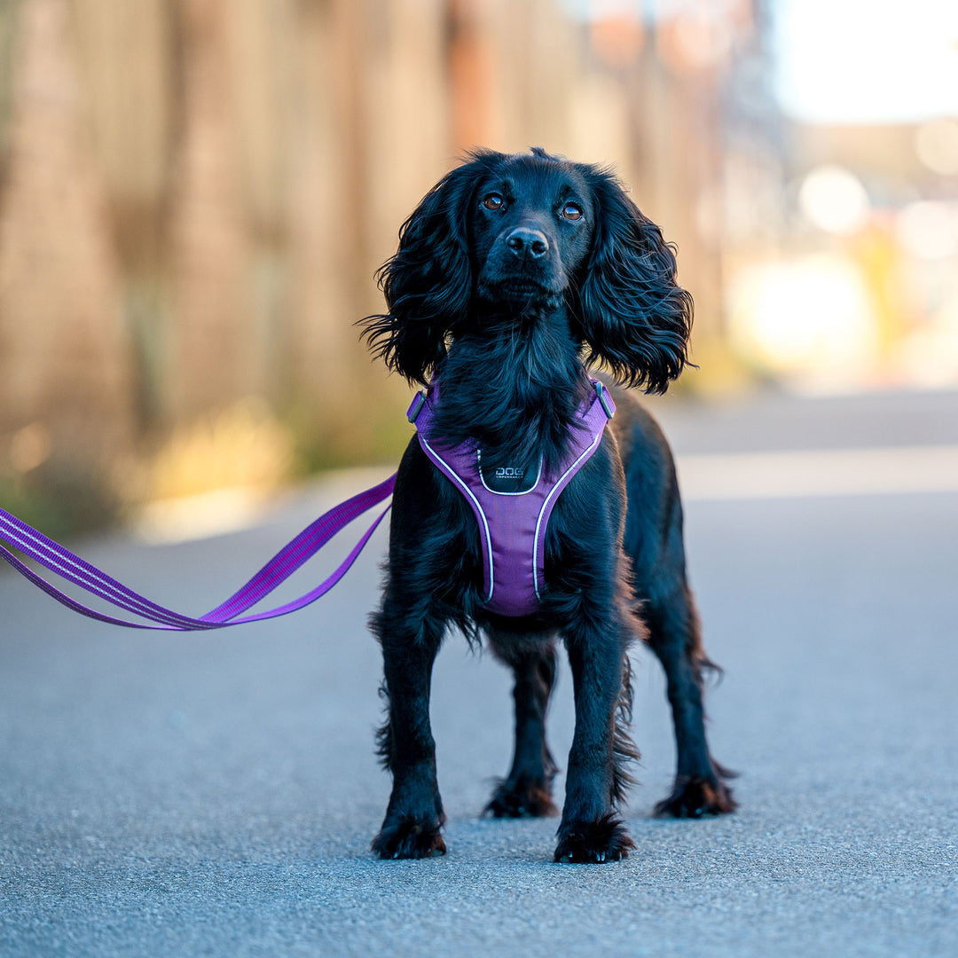 Comfort Walk Go™ Arnés de DOG Copenhagen