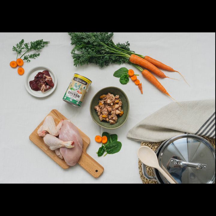 Ingredientes naturales de la comida cocinada para perros Wild Balance de pollo: carne fresca de pollo, zanahoria y espinacas, receta BARF cocinada a fuego lento.