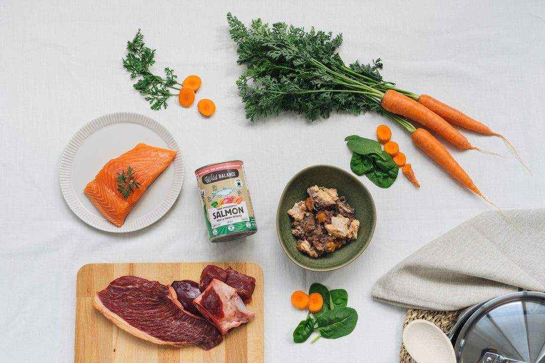 Lata de Salmon Filosofía BARF 400g