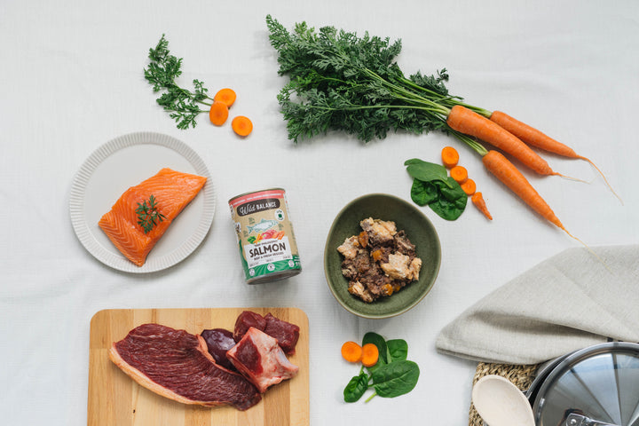 Lata de Salmon Filosofía BARF 400g