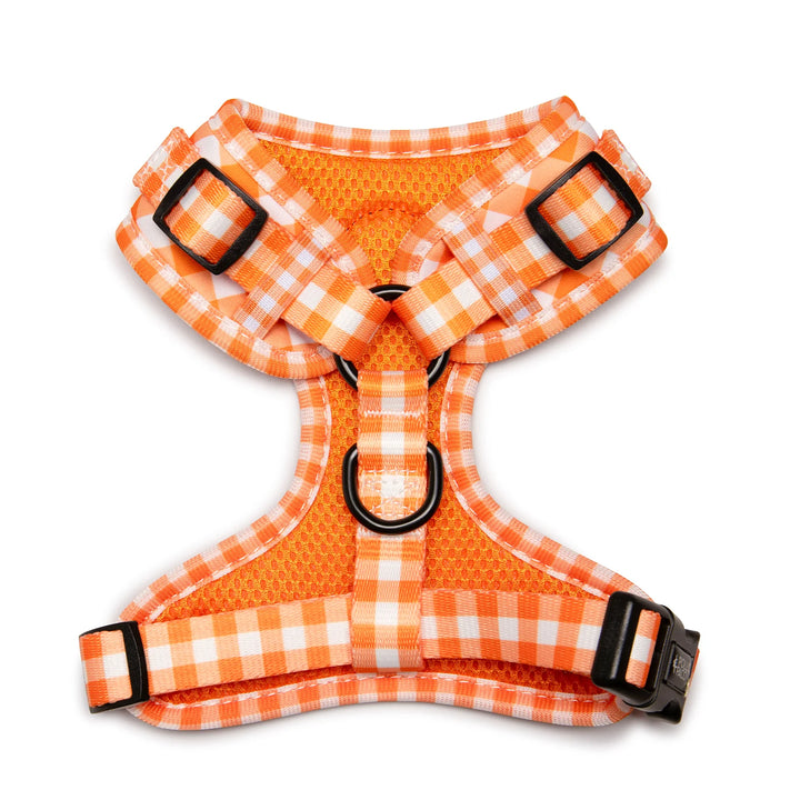 Parte trasera de arnés naranja de cuadros vichy para perro marca Pollo & Paco, diseño cómodo y ajustable, ideal para paseos diarios con estilo y seguridad.
