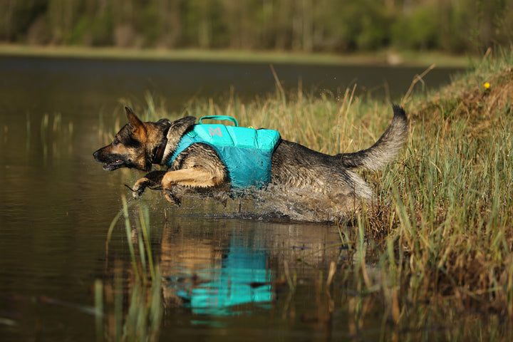 Protector life jacket