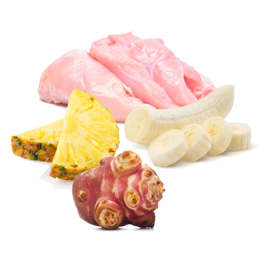 ingredientes naturales lata puro menu conejo perro