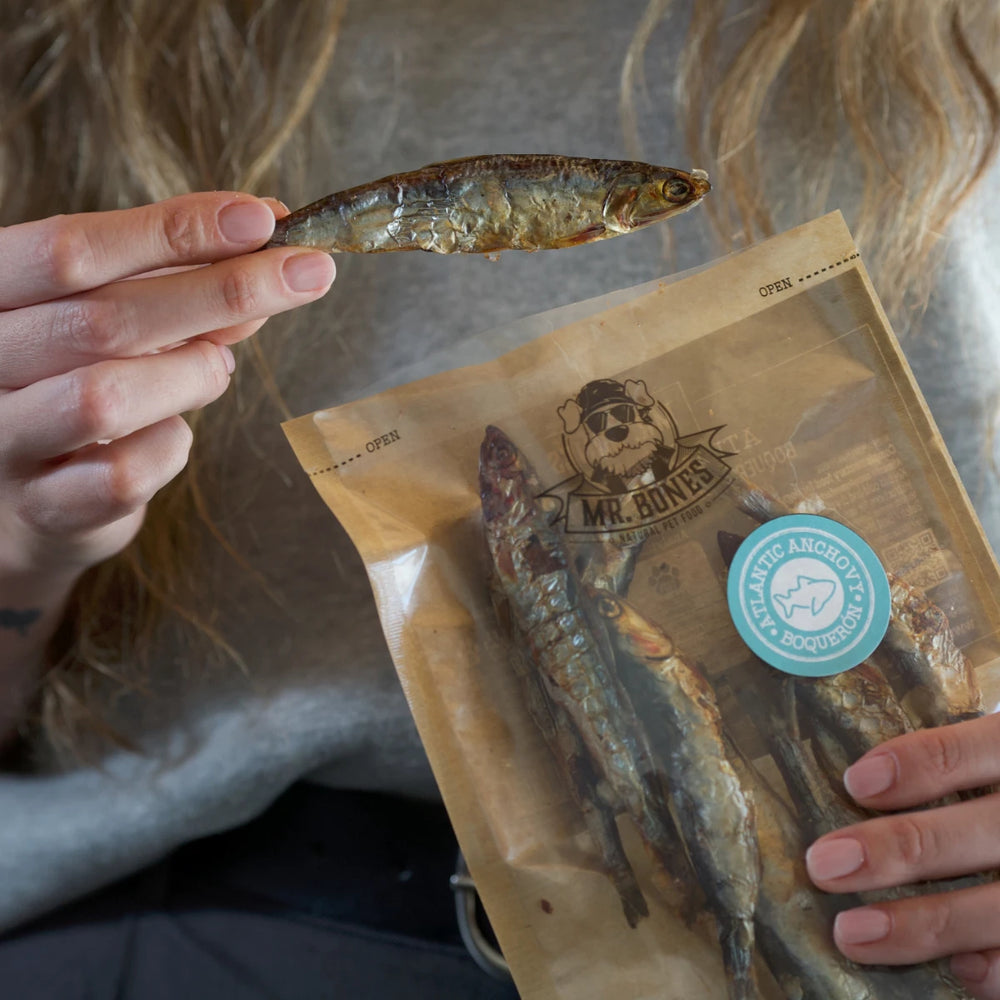 Snack natural Mr. Bones de boquerón del Atlántico, persona mostrando el producto seco y crujiente para perros, 100 % natural y saludable.