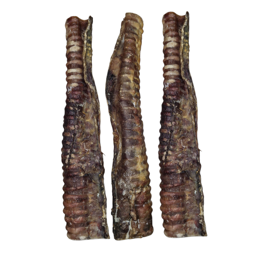Tráquea de ternera XL para perros, snack natural rellenable rico en glucosamina