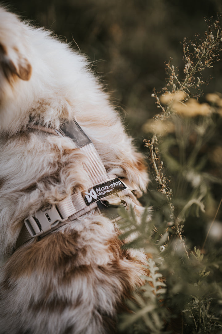 Trekking Line Harness CLIP’N Sand