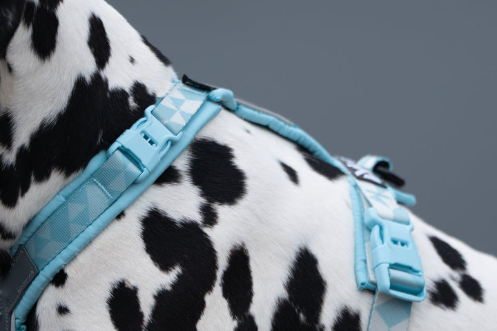 Trekking Line Harness Clip'n Ice Blue