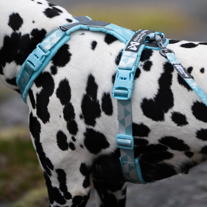 Trekking Line Harness Clip'n Ice Blue