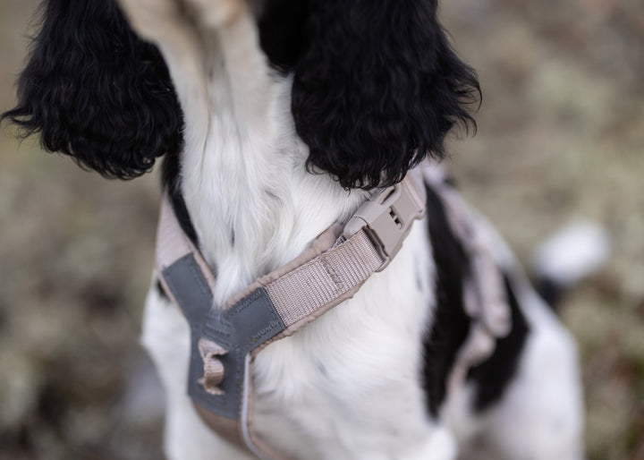 Trekking Line Harness CLIP’N Sand