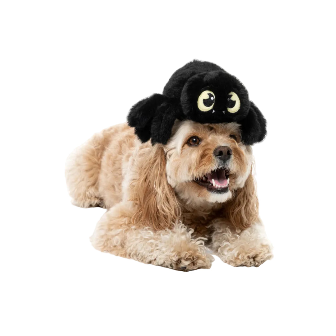 juguete araña haloween perro