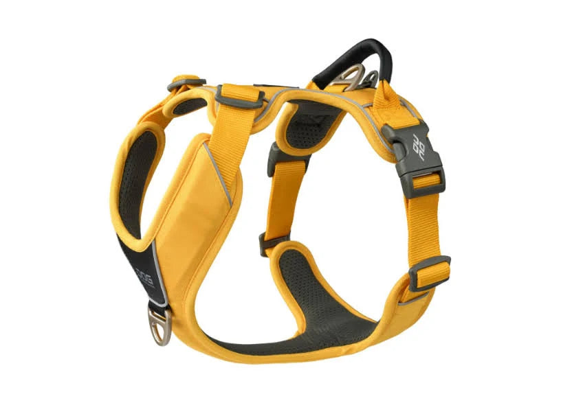 Comfort Walk Pro V3 Dog Copenhagen