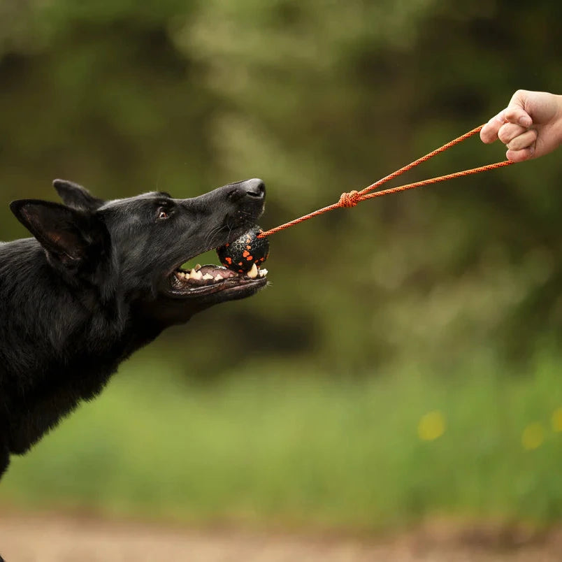 Ball on Rope – Pelota ultrarresistente
