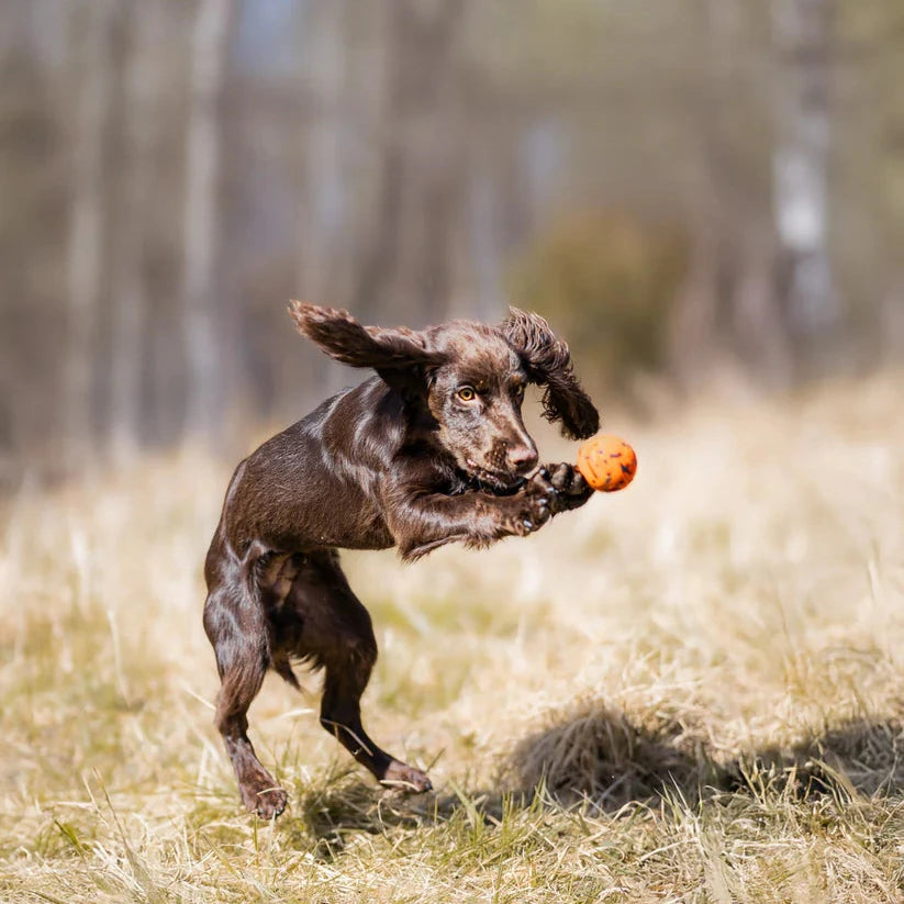 Non-stop Dogwear Dog Ball – Pelota ultrarresistente