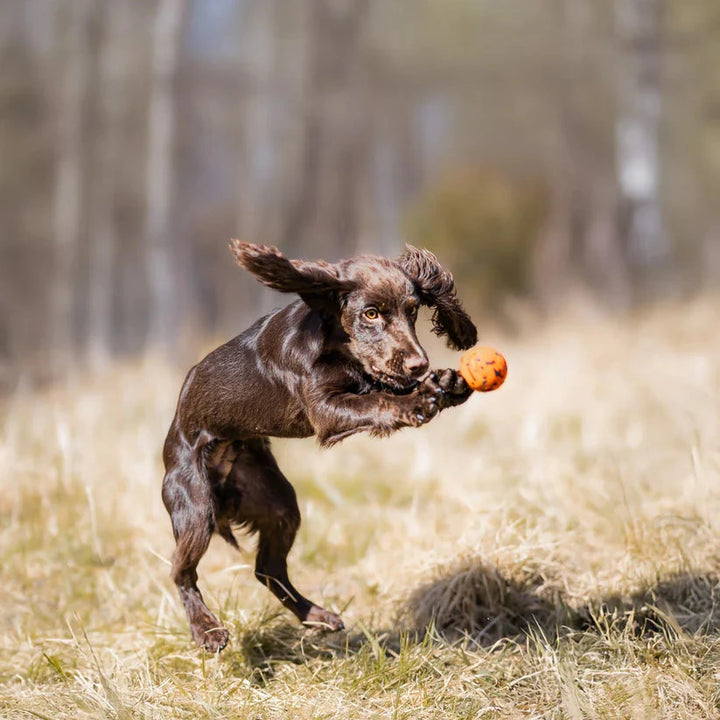 Non-stop Dogwear Dog Ball – Pelota ultrarresistente