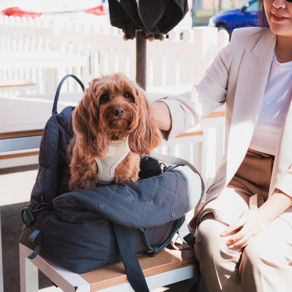 Bolso de transporte ideal para razas pequeñas de la marca fuzzyard, perro dentro de la bolsa