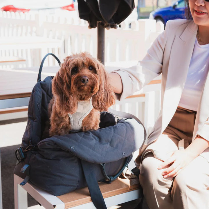 Bolso de transporte ideal para razas pequeñas de la marca fuzzyard, perro dentro de la bolsa