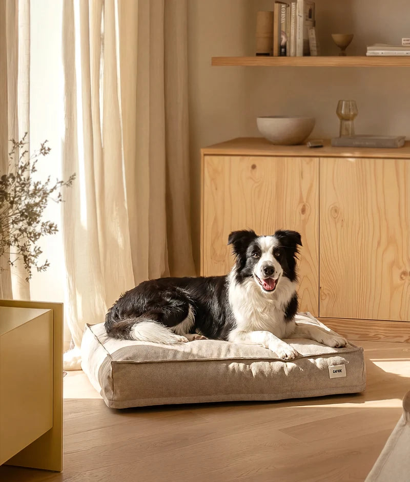 perro sobre cama cuadra beige de la marca cafide en un comedor bonito 