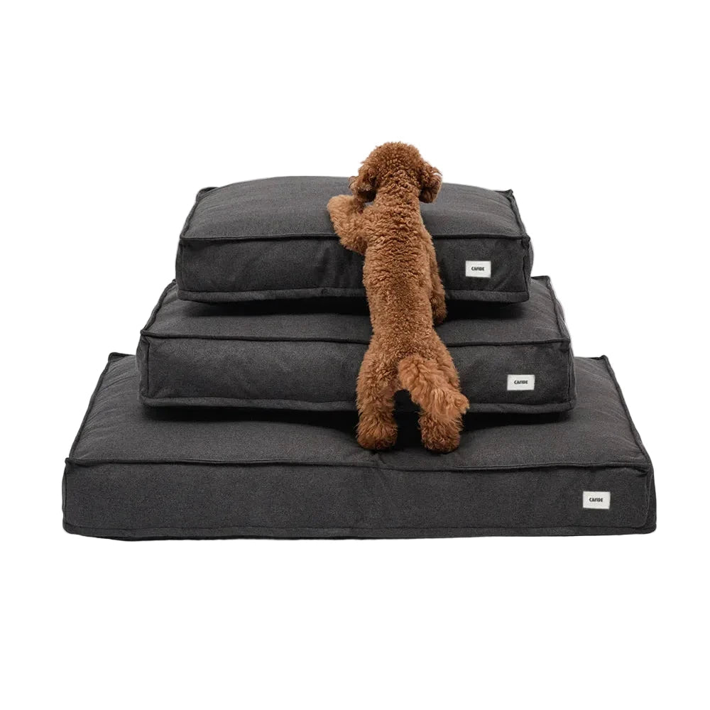 imagen de perrito canitxe en una torre de tres camas color negro antracita del modelo cuadra de la marca cafide dogs