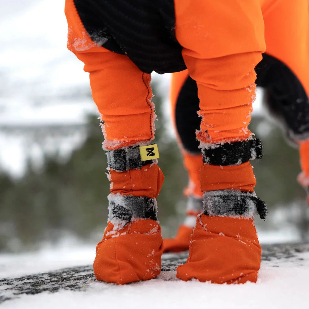 detalle de patas de dos calcetines de nonstop dogwear