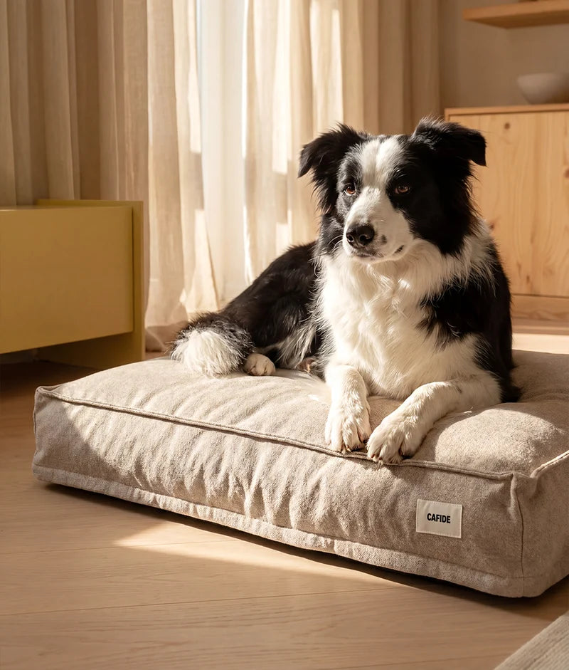 Cama Cuadra Beige Cafide