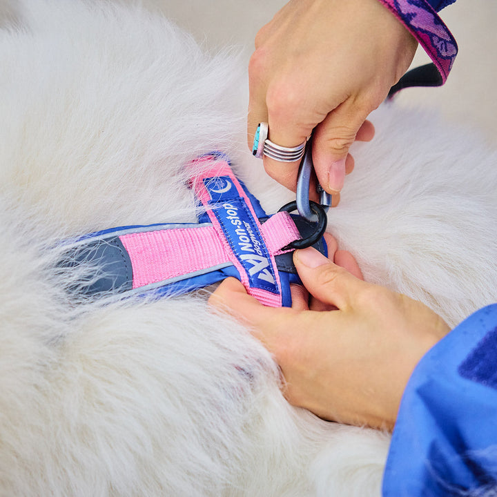 Primer plano del anclaje trasero del arnés Non-stop Dogwear Line Harness 5.0 Rachel Pohl. Su anilla de metal reforzada permite una conexión segura con la correa, ideal para paseos controlados o entrenamiento. Diseñado con materiales de alta calidad para máxima durabilidad.