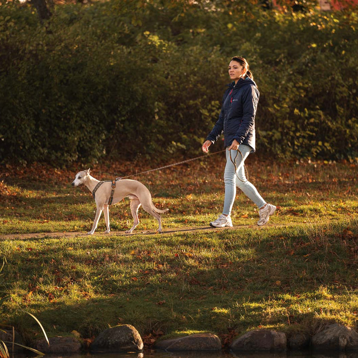 Una mujer pasea con su perro usando el arnés Non-stop Dogwear Line Harness 5.0 Rachel Pohl. La combinación de confort, estética y control lo convierte en un accesorio ideal tanto para ciudad como para senderos naturales. Fabricado con materiales técnicos y duraderos.