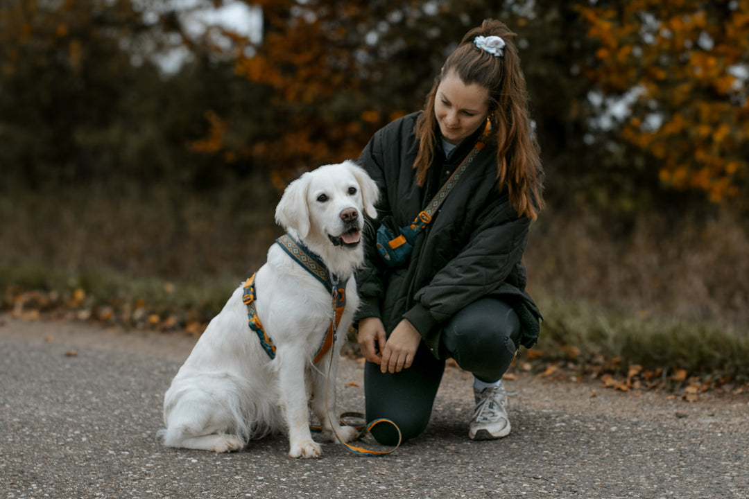 Perro con el arnés Non-stop Dogwear Line Harness 5.0 Rachel Pohl Teal Oak junto a su dueña. Su diseño acolchado distribuye la presión de forma uniforme y sus materiales de alta resistencia garantizan comodidad y seguridad en cada paseo.
