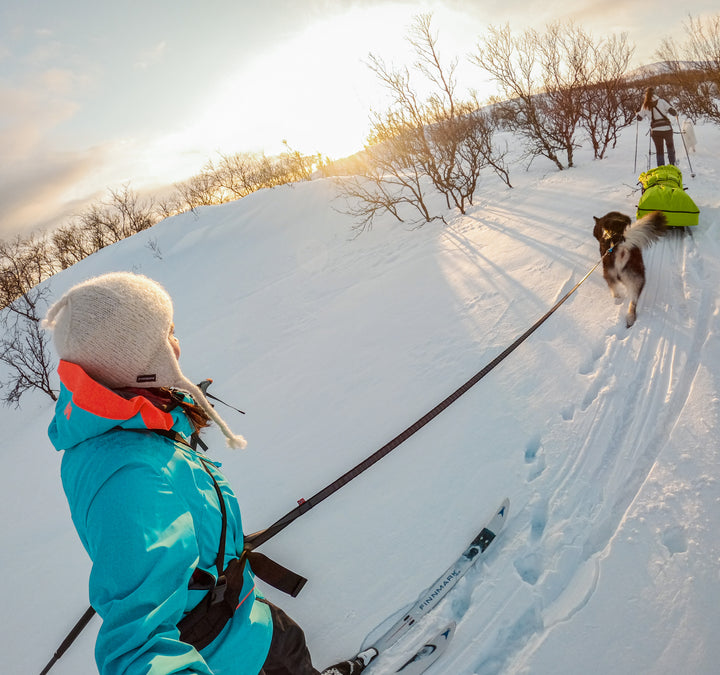 Touring Bungee de Non-stop Dogwear – Correa elástica