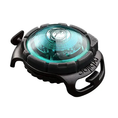 Orbiloc Dog Dual – Luz de seguridad