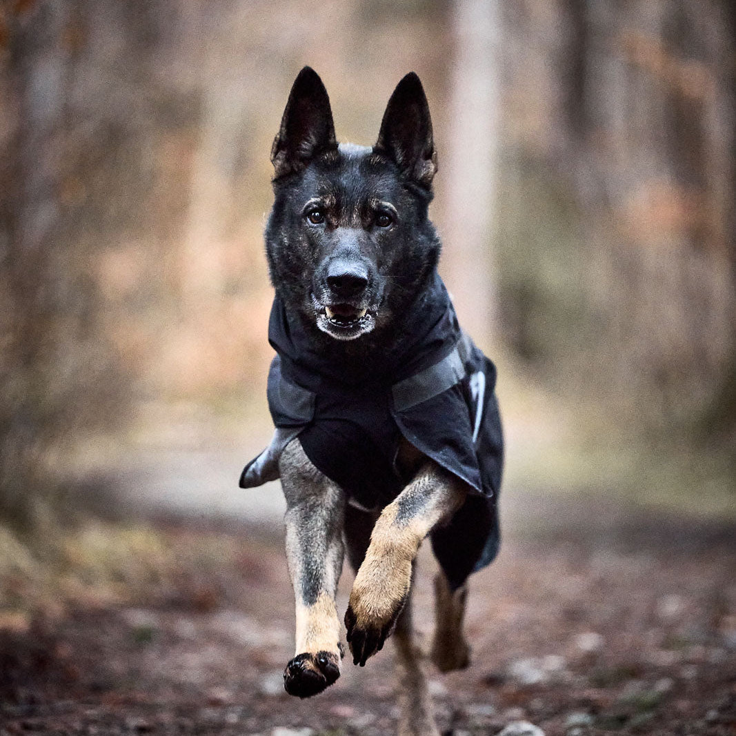 Non-stop Trekking Raincoat