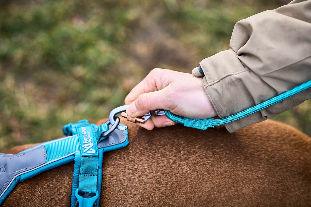 Trekking Rope Con Mosquetón de Rosca de Non-stop Dogwear